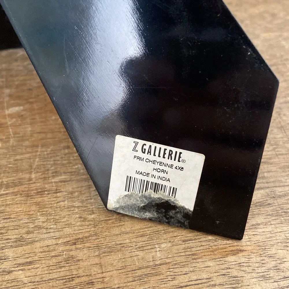 Z Gallerie Horn and Bone Picture Frame